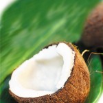 Coconut on the leaf